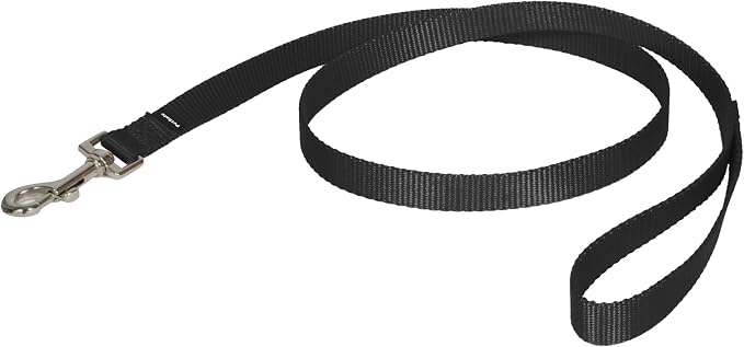 PetSafe Nylon Dog Leash - Strong, Durable, Traditional Style Leash with Easy to Use Bolt Snap - 3/4 in. x 4 ft., Black | Durable Nylon Leash with Easy on/off Bolt Snap Hook, Pairs Perfectly with Easy Walk Harness and Gentle Leader Headcollar
