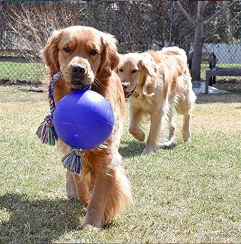 Jolly Pets Romp-N-Roll Rope & Ball Dog Toy, 8 in Large, Blue | Rope-and-ball fetch toy in tough JollyFlex - won't deflate if punctured, floats, made in USA