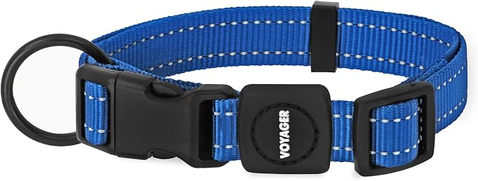 Best Pet Supplies Voyager Reflective Dog Leash or Collar with Neoprene Handle, for Small, Medium, and Large Breed Puppies, Cute and Heavy Duty for Walking, Running and Training - Royal Blue, M