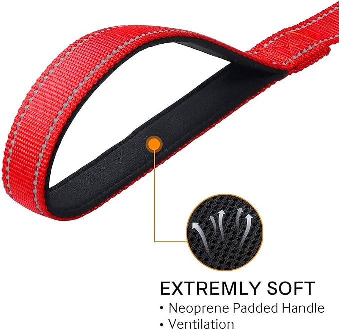 Joytale 14-20 inches Dog Collar and 6FT Leash, Reflective Soft Neoprene Padded Pet Collars and Leashes for Medium Dog