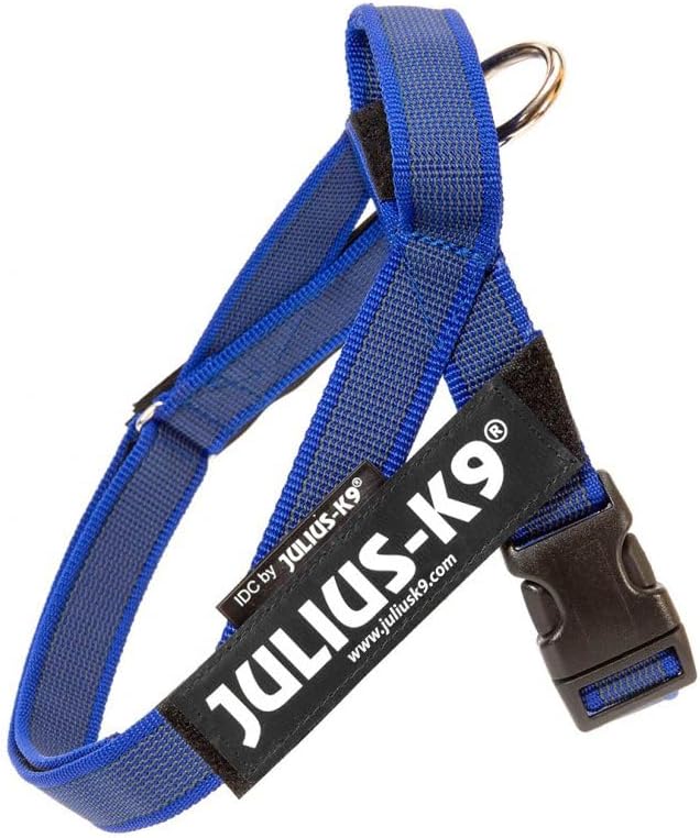 IDC Color & Gray Belt Harness, Size: XS/Mini-Mini, Blue-Gray