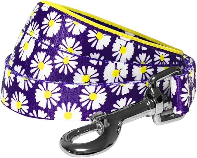 Blueberry Pet 2 Pattern Loving Daisy Prints Dog Leash with Soft & Comfortable Handle, 4 ft x 1", Large, Leashes for Dogs