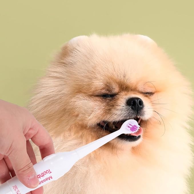 TEHAUX Professional Electric for Pets Acoustic Cleaning Brush with 2 Replacement Heads Lightweight Portable Dog and Cat for Travel and