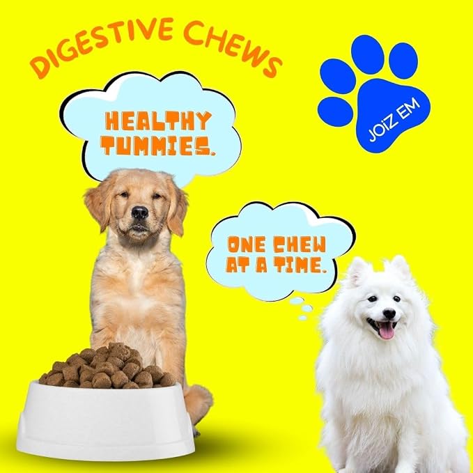 Digestive Dog Chews: for Gut Flora, Diarrhea, Bowel Support and Gut Health, Digestive Health. Dog Supplement in Soft Chews, Probiotics, Digestive enzymes. Made in the USA.