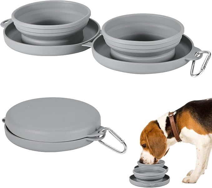 Collapsible Dog Water Bowl, 2-in-1 with Carabiner Clip, Grey