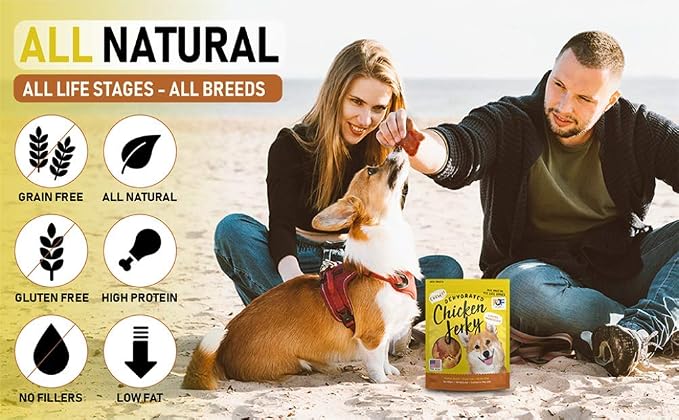 Pet Jerky Factory Whole Muscle Chicken Dog Jerky Treats - 12 oz