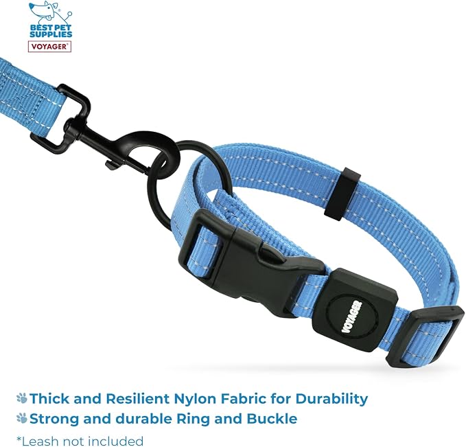 Best Pet Supplies Voyager Reflective Dog Leash or Collar with Neoprene Handle, for Small, Medium, and Large Breed Puppies, Cute and Heavy Duty for Walking, Running and Training - Baby Blue, L