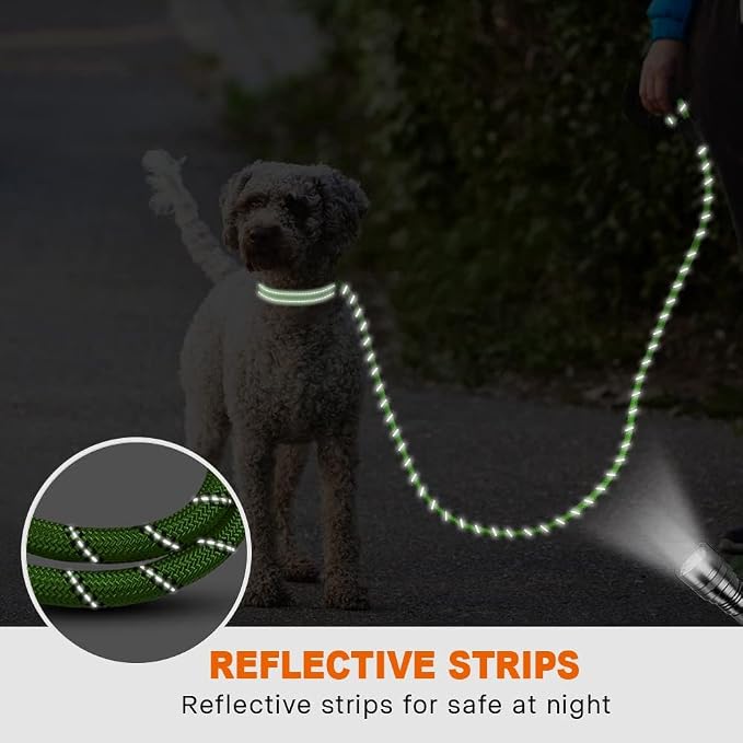 Taglory Rope Dog Leash for Small Medium Dogs, 6 FT Padded Handle, Green | Made of Climbing Rope, Reflective for Night Walks and Training, Comfortable Grip, Anti-tangle Swivel Clip, 3/8 inch