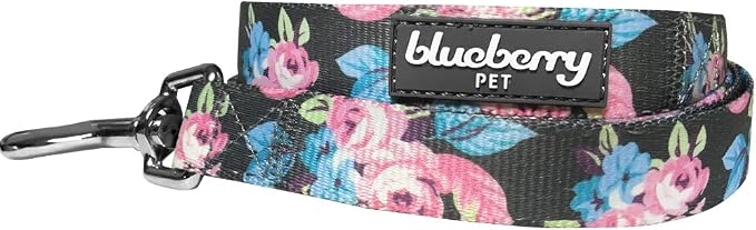 Blueberry Pet 7 Pattern Rose Flower Prints Girly Dog Leash with Soft & Comfortable Handle, 5 ft x 5/8", Small, Leashes for Dogs