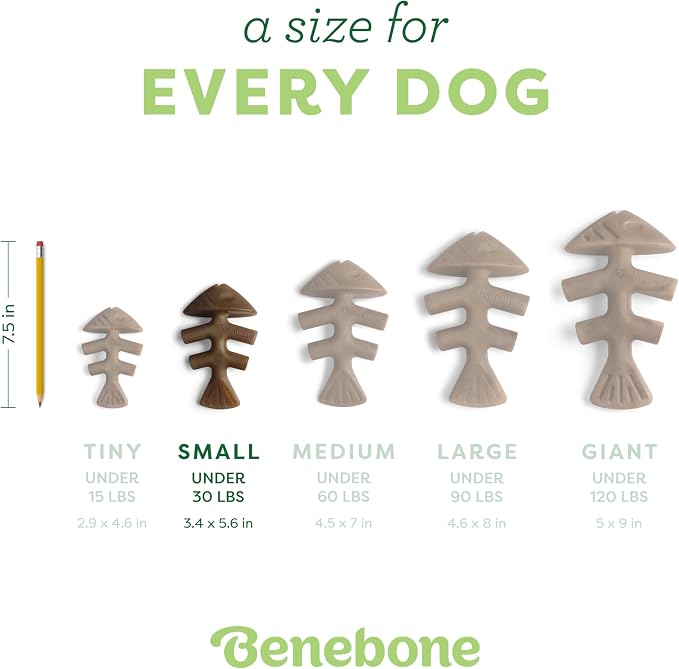 Benebone Fishbone Durable Dog Chew Toy for Aggressive Chewers, Real Fish, Made in USA, Small
