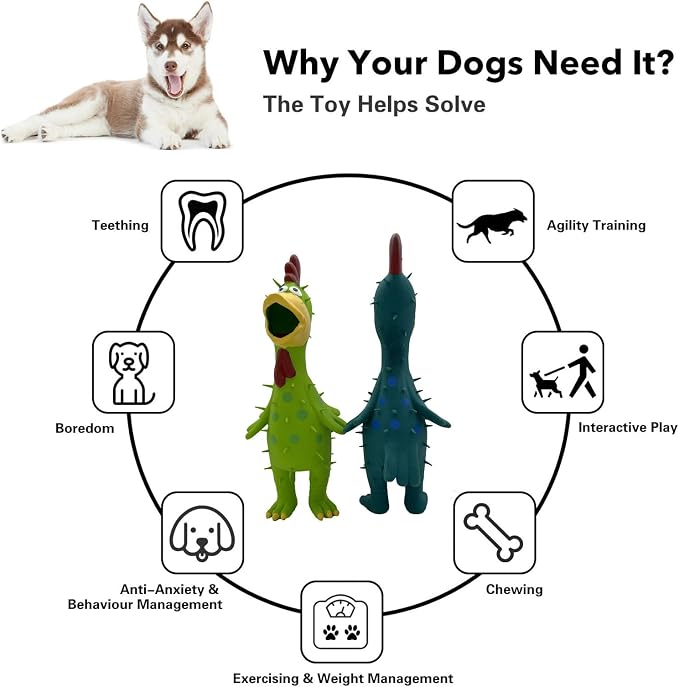2 Pack 10 Inch Latex Polka dot Burr Chicken Dog Toys that Oinks for Medium Large Dogs