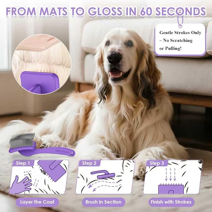 Large Dog 3 in 1 Grooming Kit, Large, Purple