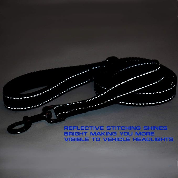 Max and Neo Double Handle Traffic Dog Leash - Reflective, Donates to Dog Rescue (Purple, 6 FT)