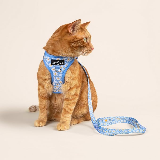 Lucy & Co. Simply Splendid Step-in Cat Harness & Leash Bundle – Reflective, Breathable & Adjustable Harness for Cats, Kittens & Small Dogs, Lightweight & Secure and Dual Leash Clips – Small