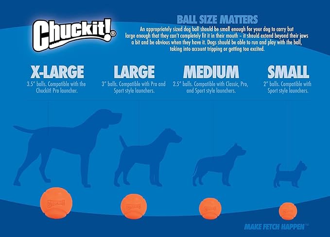 Chuckit! Medium Fetch Ball 2.5", 2 Pack (Colors Vary)