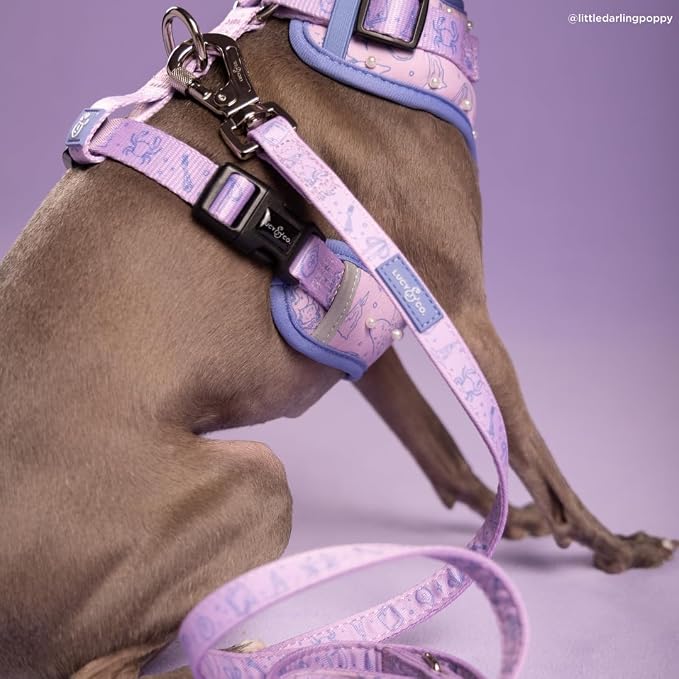 Lucy & Co. Magnificent Mermaid Pearl Dog Leash, Durable Matching Dog Lead with Heavy Duty Hardware, Large