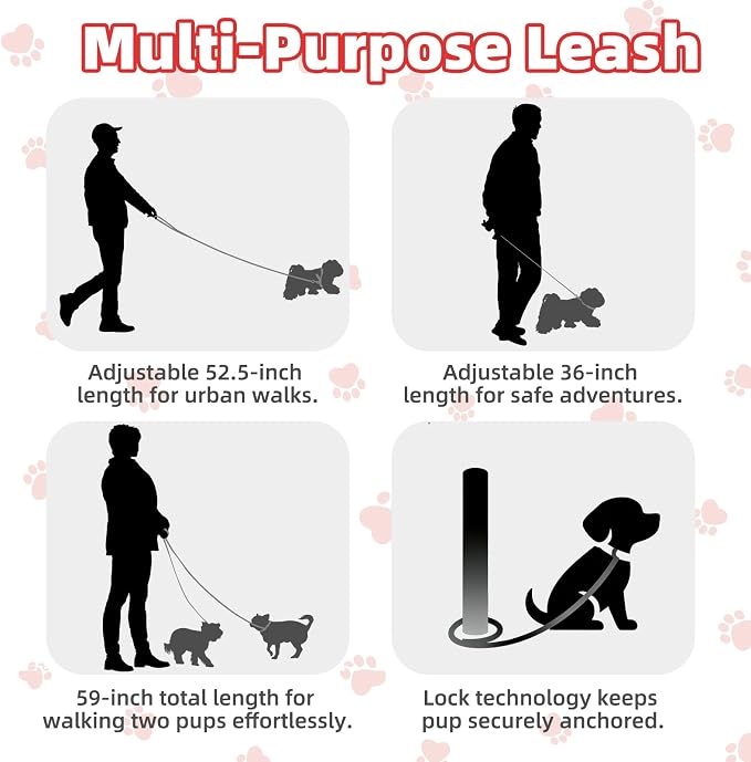 PUPTECK Dog Harness and Leash Set Small Sized, Lightweight Step-in Puppy Harness, Escape Proof No Pull Cute Pet Vest Harnesses, Red S