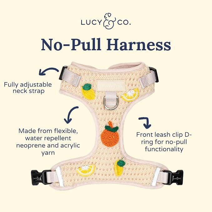 Lucy & Co. Main Squeeze Crochet No-Pull Dog Harness, Adjustable Front Clip Harness with Comfort Padding, Medium