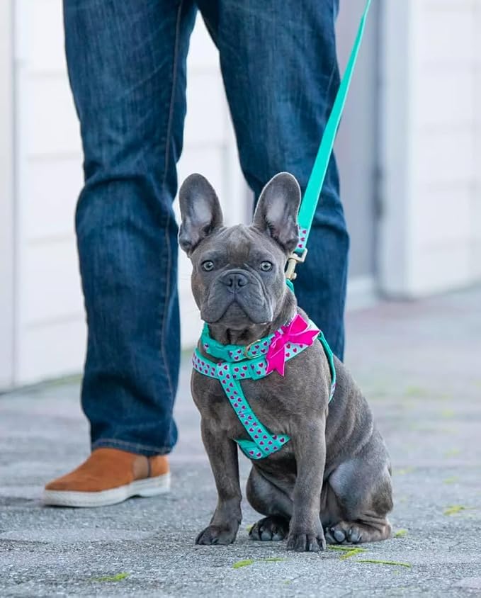 Blueberry Pet Step-in Dog Harness Velvety Heart Flocking Valentine’s Day Adjustable Harnesses for Medium Dogs, Mint Green, Chest Girth 20" - 26"
