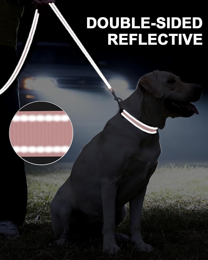 Taglory Reflective Dog Leash for Small Dogs, 3/4in x 4ft, Pink | Ideal for Night Walking, Strong for Sudden Pulls, Lightweight & Gentle on the Neck, Soft Padded Handle