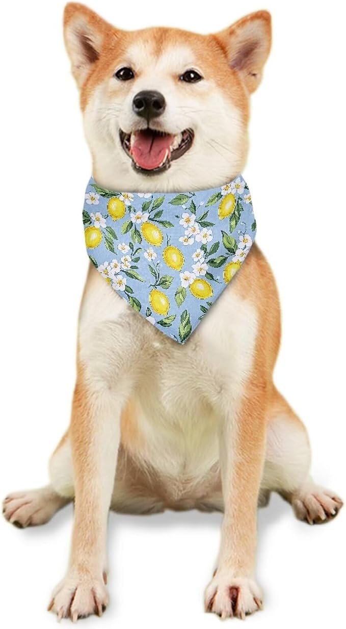 Forchrinse Lemon Dog Bandanas, One Size, Polyester, Lemon