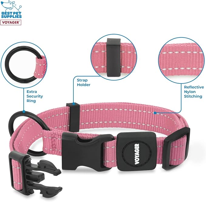 Best Pet Supplies Voyager Reflective Dog Leash or Collar with Neoprene Handle, for Small, Medium, and Large Breed Puppies, Cute and Heavy Duty for Walking, Running and Training - Pink, L