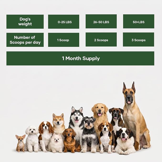 NutriFlo Dog Vitamins & Supplements – 10-in-1 Dog Multivitamin for Gut Health, Hip & Joint, Immune Support, Skin & Coat, Dental Health & Longevity | Daily Dog Supplement for All Breeds