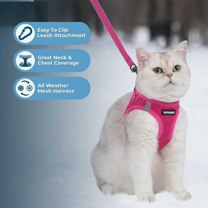 Voyager Step-in Pet Harness - All Weather Mesh, Adjustable Step in Harness for Cats and Dogs by Best Pet Supplies - 307S Fuchsia, XXXS
