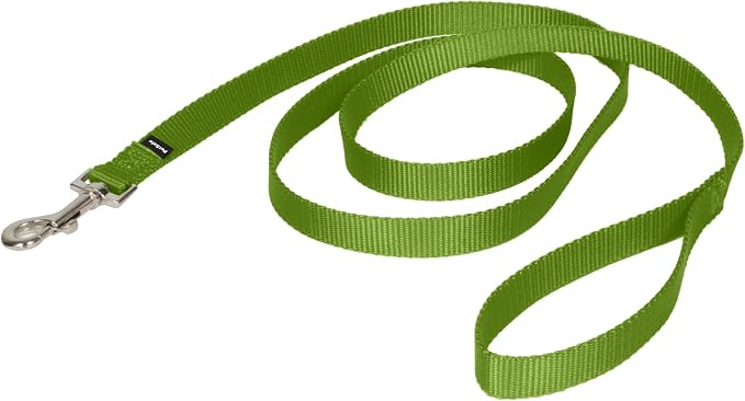 PetSafe Nylon Dog Leash - Strong, Durable, Traditional Style Leash with Easy to Use Bolt Snap - 3/4 in. x 6 ft., Apple Green | Durable Nylon Leash with Easy on/off Bolt Snap Hook, Pairs Perfectly with Easy Walk Harness and Gentle Leader Headcollar