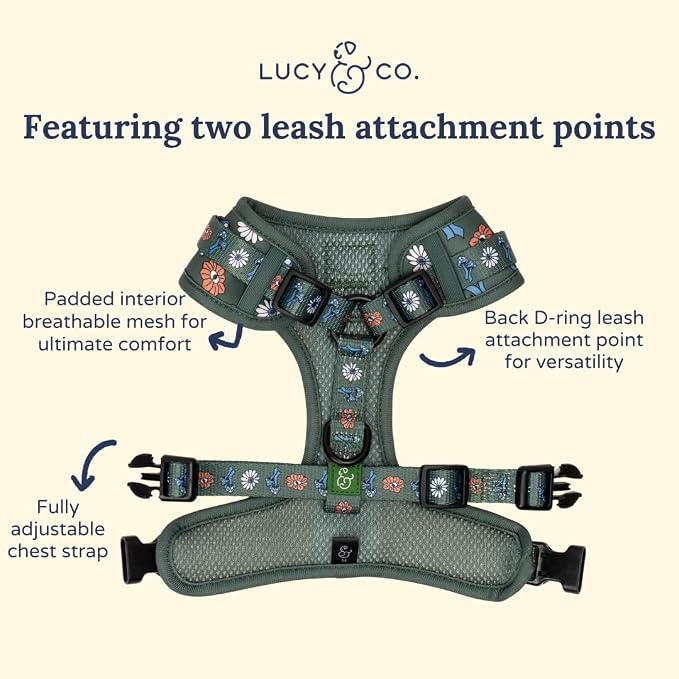 Lucy & Co. x Parks Project Power to the Parks No-Pull Dog Harness, Adjustable Front Clip Harness with Comfort Padding, X-Small