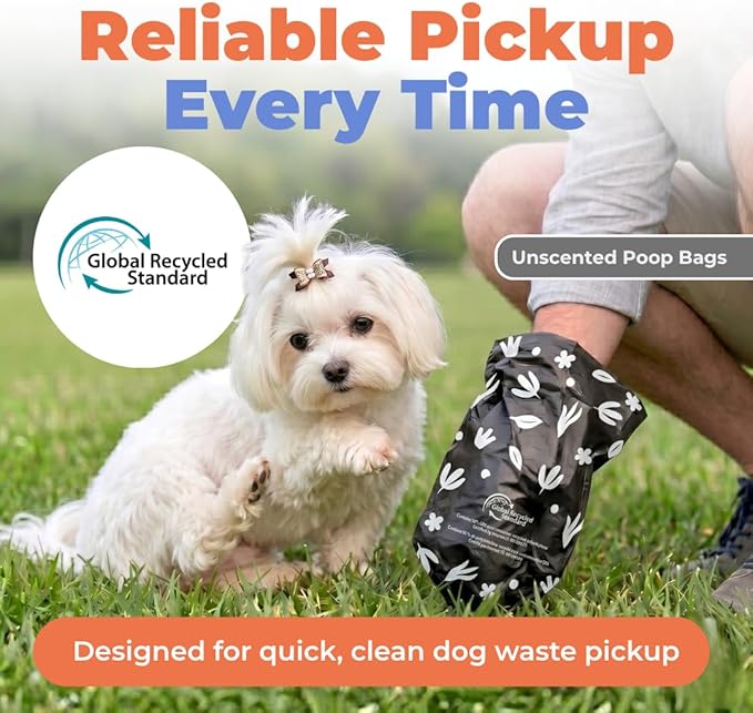 Best Pet Supplies Dog Poop Bags for Waste Refuse Cleanup, Doggy Roll Replacements for Outdoor Puppy Walking and Travel, Leak Proof and Tear Resistant, Thick Plastic - Black (Unscented), 300 Bags