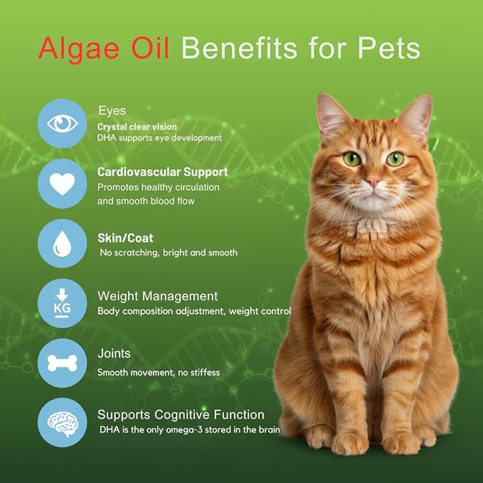 Dr. Kiwi O'dogcat Omega Plus Oil Omega-3 & Omega-7 Supplement for Dogs, Skin & Coat Support, Joint Health, EPA & DHA from Algae Oil, Sustainable & Eco-Friendly
