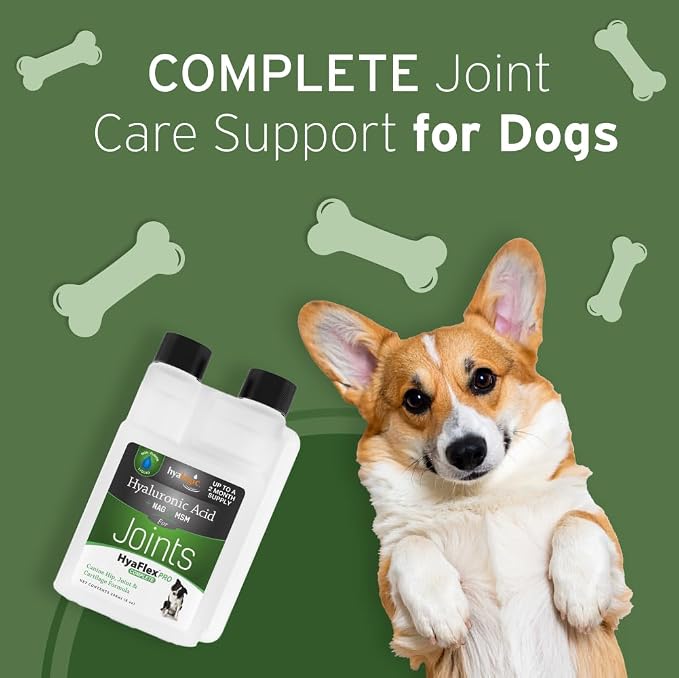 Hyalogic HyaFlex PRO - Hyaluronic Acid Joint Supplement for Dogs, 240ml