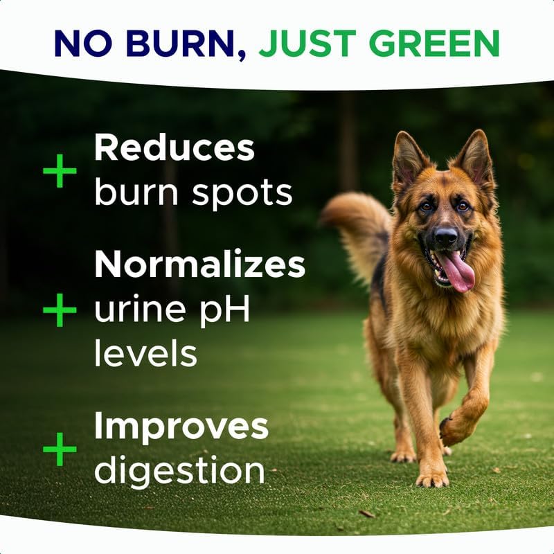 Green Grass Dog Chews for Lawn Protection – Dog Urine Neutralizer for Grass Burn Spots – Lawn Restore Treats – Made in USA – 120Ct Soft Chews