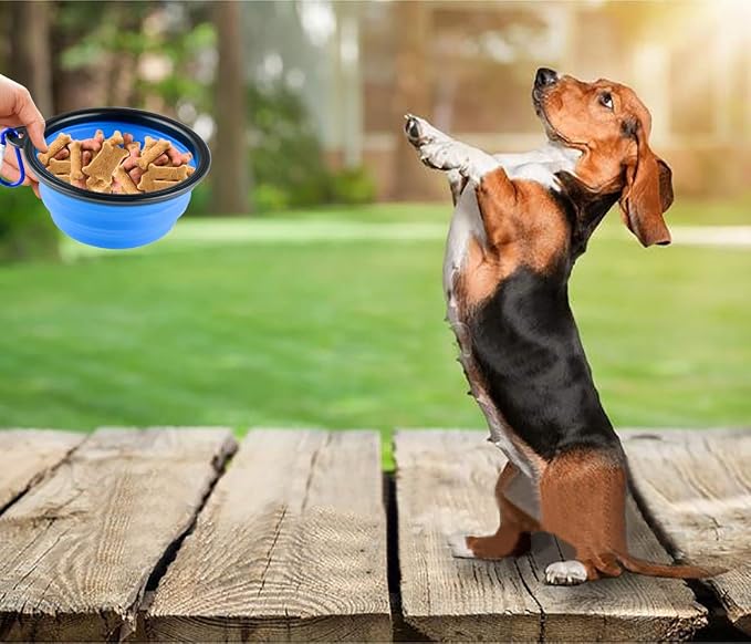 3 Collapsible Silicone Dog Bowls with Pet ID Tag