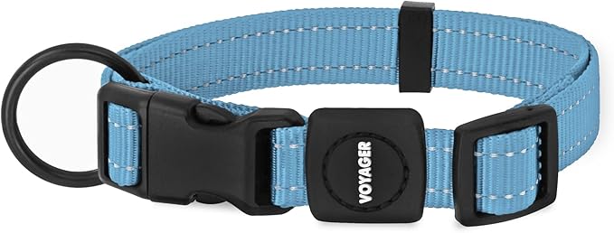 Best Pet Supplies Voyager Reflective Dog Leash or Collar with Neoprene Handle, for Small, Medium, and Large Breed Puppies, Cute and Heavy Duty for Walking, Running and Training - Baby Blue, L