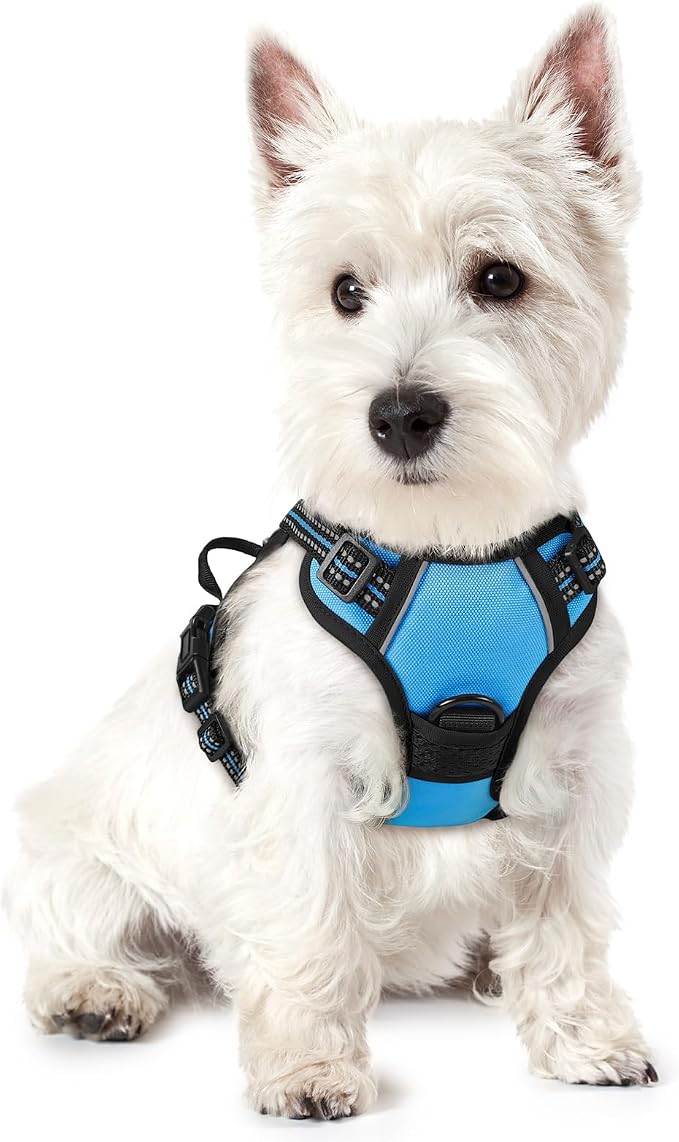 rabbitgoo Dog Harness, No Pull for Small Dogs with 2 Leash Clips, Pet Vest | No Choke with Handle, Adjustable Soft Padded, Reflective, Easy Control for Walking, Blue, X-Small