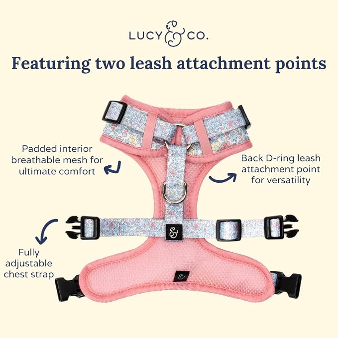 Lucy & Co. Ditsy Daydream No-Pull Dog Harness, Adjustable Front Clip Harness with Comfort Padding, Small