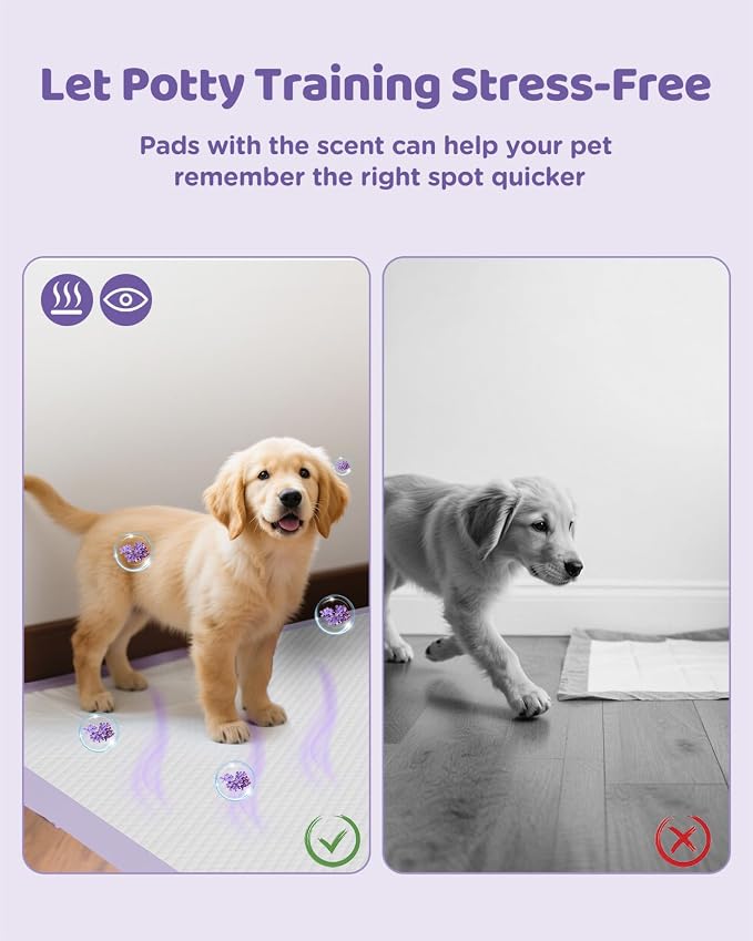 iweepet 36"x36" 4XL Lavender Scented Disposable Dog Pee Pads, 45 Count | Extra Large Puppy Training Pads with 6-Layer Super Absorbent Protection, Leakproof Puppy Pads for Large Dogs & Senior Pets