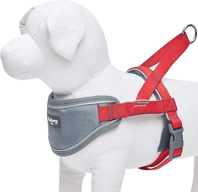 Blueberry Pet 8 Colors Soft & Comfy 3M Reflective Strips Padded Dog Harness Vest, Chest Girth 16.5" - 21", Red, Small, Nylon Adjustable Training Harnesses for Dogs