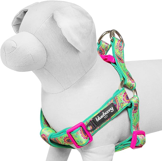 Blueberry Pet 5 Colors Soft & Comfy Step-in Paisley Flower Print Dog Harness, Chest Girth 19.5" - 25.5", Emerald Green, S/M, Adjustable Harnesses for Dogs