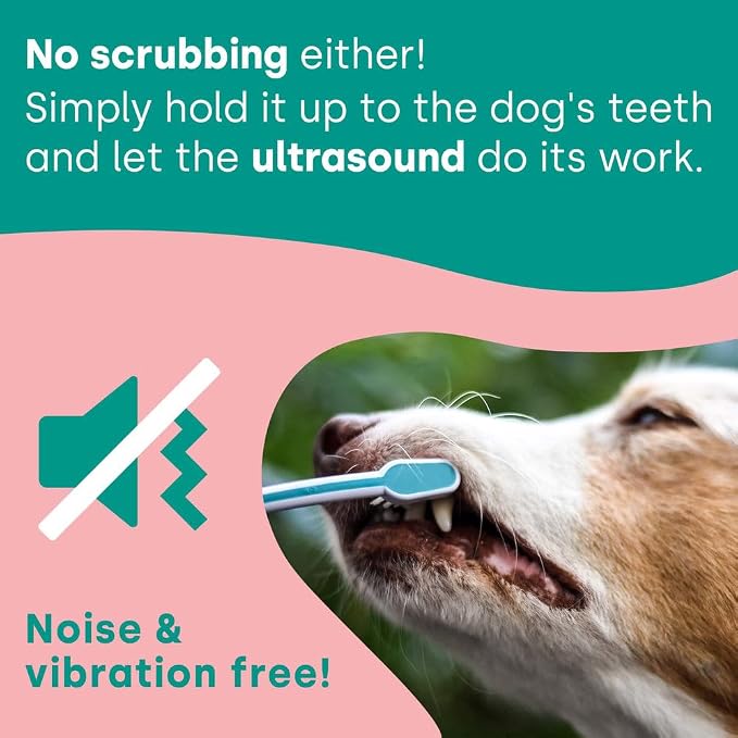 Emmi-pet PRO Oral & Skin Care Electric Toothbrush Set for Pets. Patented No Noise, No Brushing, Deep Cleaning Ultrasonic Technology - for Healthier Teeth & Gums & Fresher Breath. Made in Germany.
