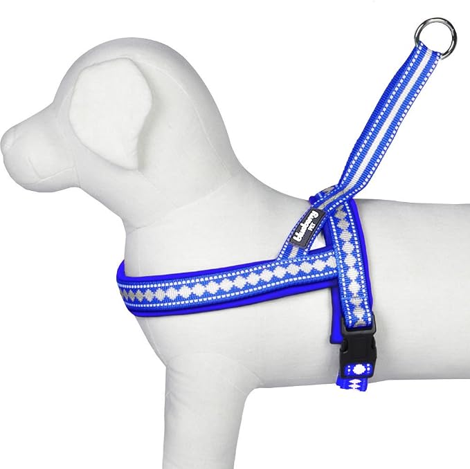 Blueberry Pet 4 Colors Soft & Comfy 3M Reflective Jacquard Padded Dog Harness, Chest Girth 19" - 23.5", Palace Blue, XS/S, Adjustable Harnesses for Dogs