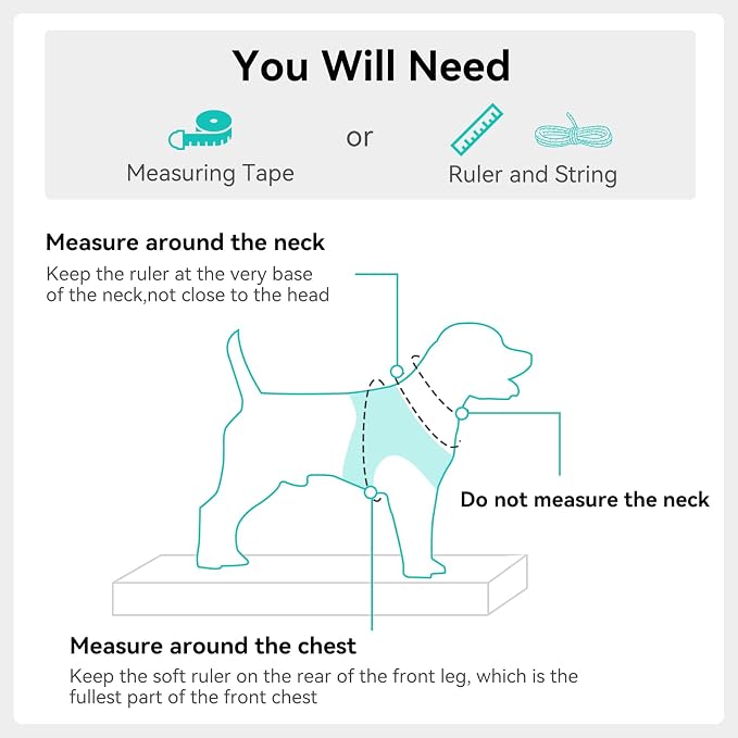 Joytale Step-in Dog Harness, Soft Breathable Mesh, Teal XXS | Adjustable Fit for Small Dogs, Easy Step-in with Secure Fastener, Even Chest Pressure, Reflective For Night Safety, Washable