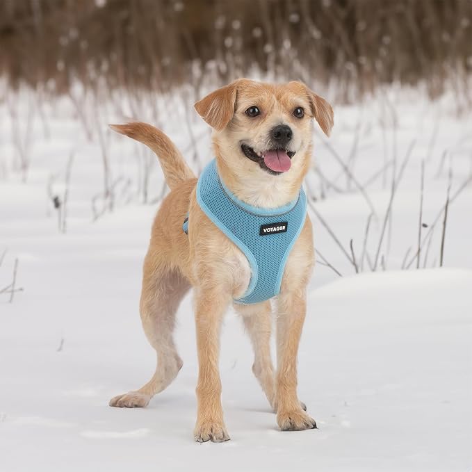 Best Pet Supplies Voyager Aerolite Over the Head Dog Harness, No Pull Breathable Air Mesh Vest, Quick Dry with Reflective Stitching, Adjustable Escape Resistant Harness - Blue, Medium