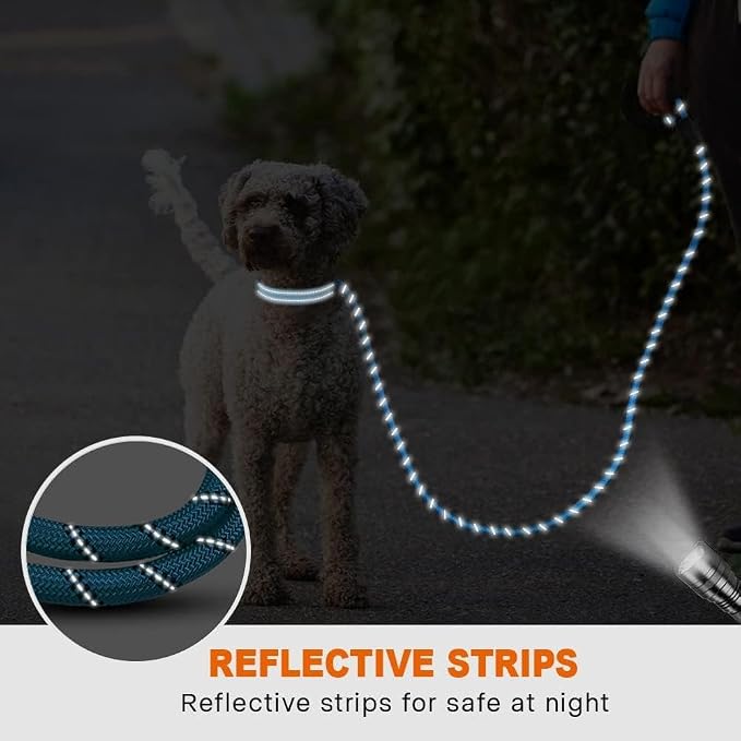 Taglory Rope Dog Leash for Small Medium Dogs, 5 FT Padded Handle, Blue | Made of Climbing Rope, Reflective for Night Walks and Training, Comfortable Grip, Anti-tangle Swivel Clip, 3/8 inch