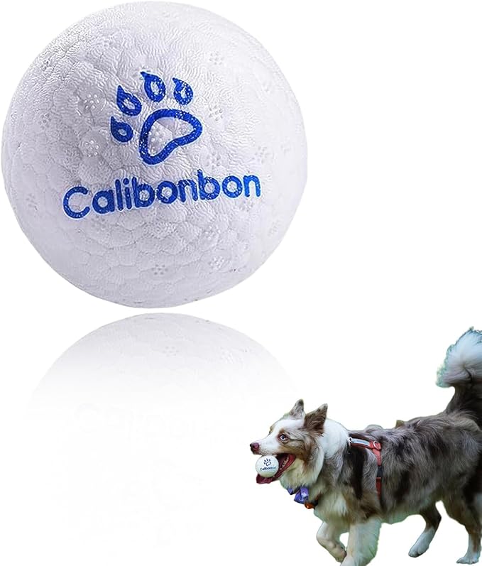 Durable Dog Herding Ball, ETPU, Floating, Interactive Bouncy