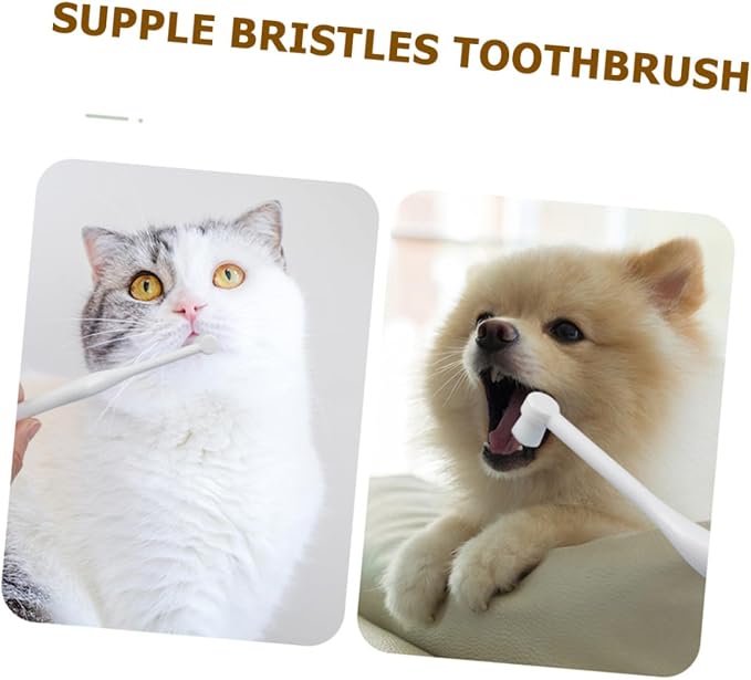 Toyvian Cat and Dog Toothbrush Small Head Manual PET Oral Cleaning Tool Soft Bristles for Gentle Cleaning Handheld Design for Easy Use for Cats and Dogs