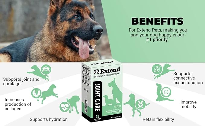 Extend Dog Joint Care Supplement (30 Count) + Probiotics Soft Chews (100 Count) | with Glucosamine, MSM, Type II Collagen Supports Hip, Joint, Gut & Immune Health - Made in USA