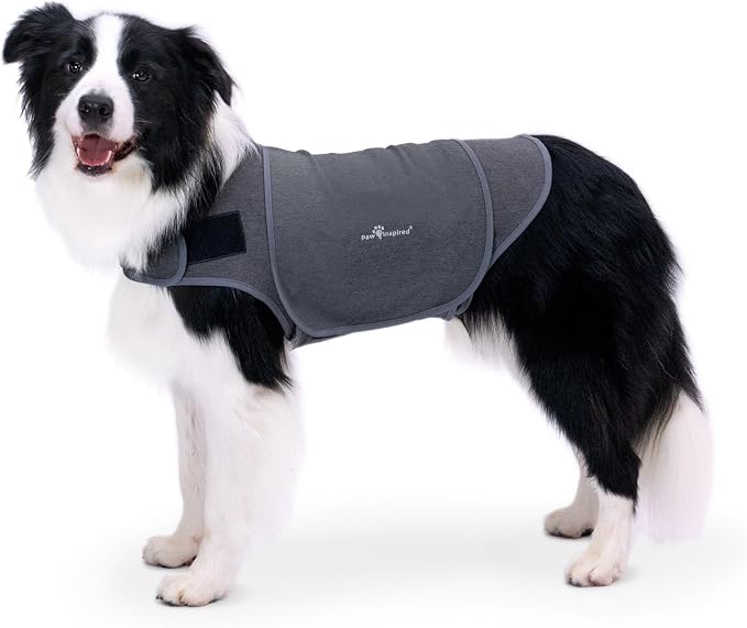 Paw Inspired Dog Anxiety Vest, Large, Large